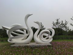 -东郊湿地公园