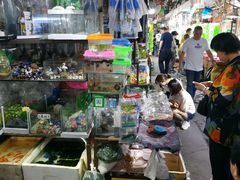 -万商花鸟市场