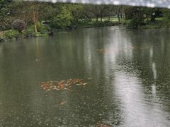-西湖游船