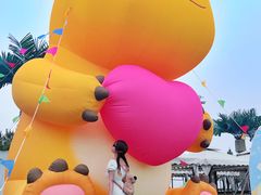 -秦皇岛乐岛海洋王国