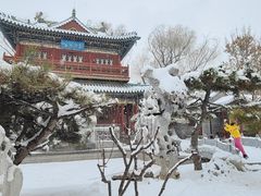 -迎泽公园