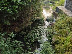 -深业半汤御泉庄温泉