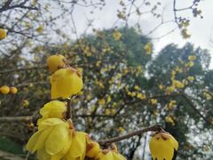 -白塘生态植物园
