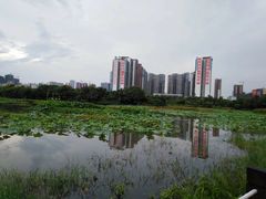 -中澳友谊花园