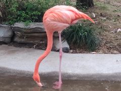 -全季酒店上海野生动物园店-地面停车场