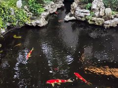 -鲤院·新中式美学·庭院餐厅(夫子庙店)