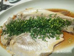 葱油蒸野生东海黄鱼-董鲁烤鸭(建和街店)