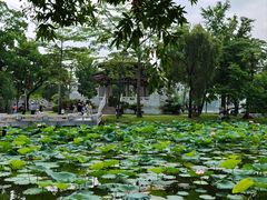 -惠州西湖丰渚园