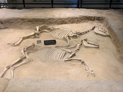 -洛阳周王城天子驾六博物馆