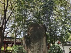 -南汇桃花村