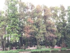 -荔湾湖公园