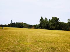 -漕湖湿地公园