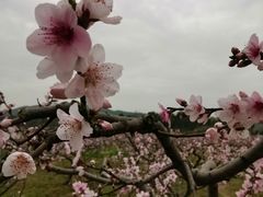 -青林口古镇