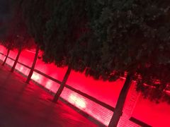 -大雁塔北广场音乐喷泉