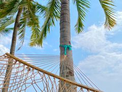 -三亚海棠湾万丽度假酒店