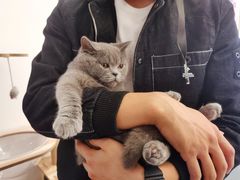 -猫友咖啡店(玉林西路店)