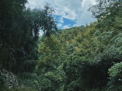-西江漂流
