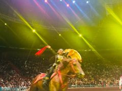 -俄罗斯国家大马戏团