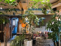-慢丽江·云南野生菌土鸡锅(付家庄店)
