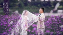 点击看大图 -巴黎春天婚纱摄影STUDIO·定制