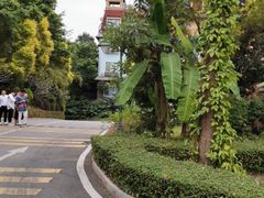 -东部华侨城