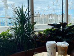 -Seesaw Coffee(朝阳大悦城店)