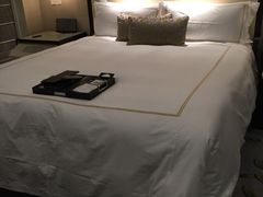 金奥费尔蒙酒店-南京金奥国际酒店