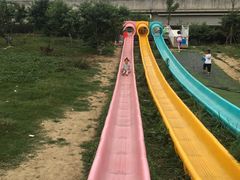 -秀丽东方