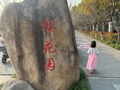 -高东镇樱花园
