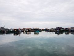 -蓝湾碧波·老字号·疍家非遗海上餐厅