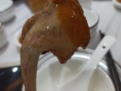 -鸽鸟轩(石岐店)
