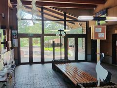 -钏路市丹顶鹤自然公园