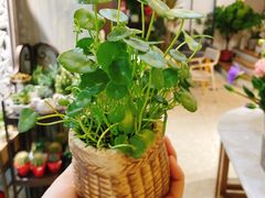 -森野花艺培训·企业团建活动沙龙