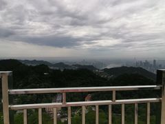 -大金鹰园