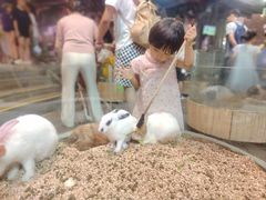 -正佳雨林生态植物园