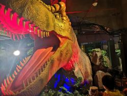 -恐龙探索乐园(磁器口店)