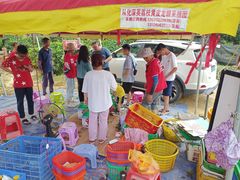 -从化深英荔枝黄皮龙眼采摘园