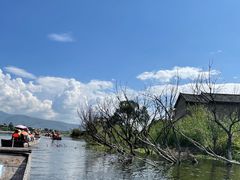 -大理洱源西湖景区