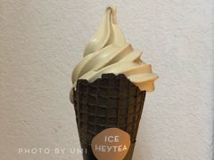 焦糖海盐冰淇淋-喜茶(上海兴业太古汇店)
