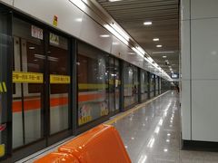 -杨高南路(地铁站)