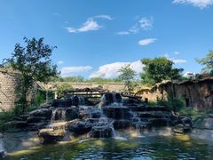 -北京野生动物园