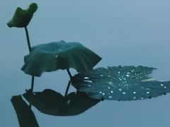 -东方绿舟景区