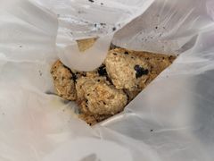 -上海市中医医院(石门路院区)