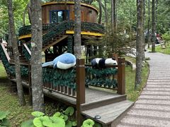 -洛阳白云山景区