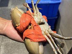 -蚝翅·海鲜粥·烧烤·龙虾季(海曙天一店)