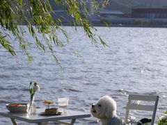 -东钱湖旅游度假区