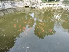 -南山植物园
