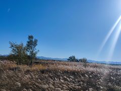 -野鸭湖国家湿地公园