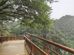 -少华山国家森林公园