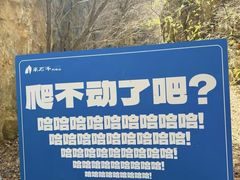 -北京凤凰岭